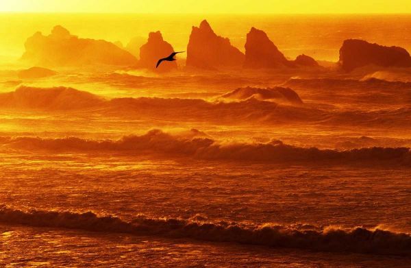 Oregon, Bandon Sunset over waves and sea stacks